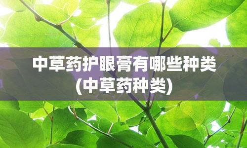 中草药护眼膏有哪些种类(中草药种类)