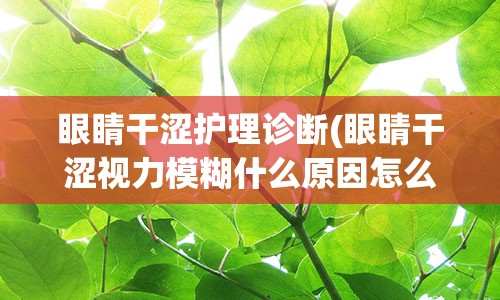 眼睛干涩护理诊断(眼睛干涩视力模糊什么原因怎么办)