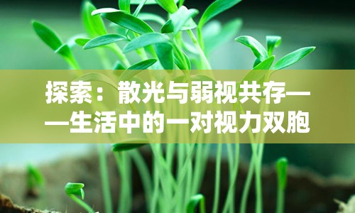 探索：散光与弱视共存——生活中的一对视力双胞胎