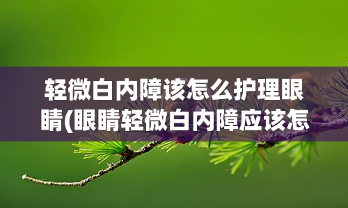 轻微白内障该怎么护理眼睛(眼睛轻微白内障应该怎么护理呀)