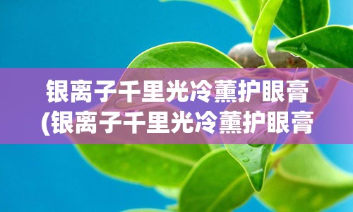 银离子千里光冷薰护眼膏(银离子千里光冷薰护眼膏多少钱)