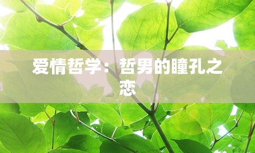 爱情哲学：哲男的瞳孔之恋