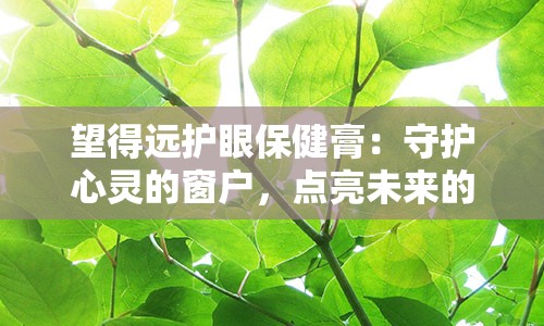 望得远护眼保健膏：守护心灵的窗户，点亮未来的光