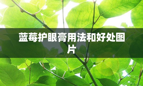 蓝莓护眼膏用法和好处图片