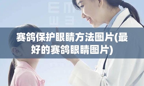 赛鸽保护眼睛方法图片(最好的赛鸽眼睛图片)