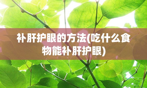 补肝护眼的方法(吃什么食物能补肝护眼)