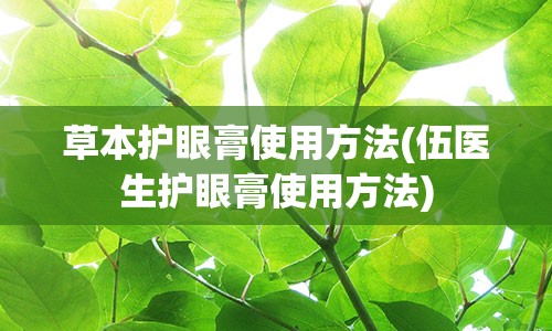 草本护眼膏使用方法(伍医生护眼膏使用方法)