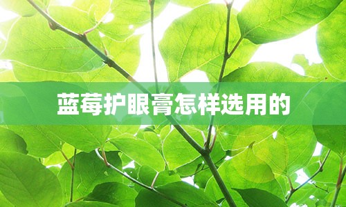 蓝莓护眼膏怎样选用的