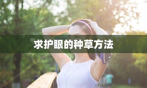 求护眼的种草方法