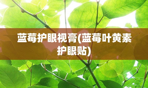 蓝莓护眼视膏(蓝莓叶黄素护眼贴)