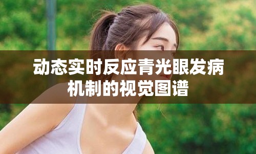 动态实时反应青光眼发病机制的视觉图谱