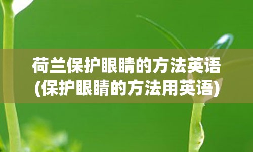 荷兰保护眼睛的方法英语(保护眼睛的方法用英语)