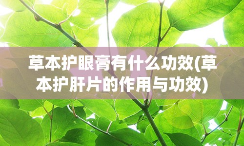 草本护眼膏有什么功效(草本护肝片的作用与功效)