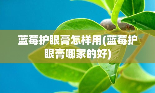 蓝莓护眼膏怎样用(蓝莓护眼膏哪家的好)