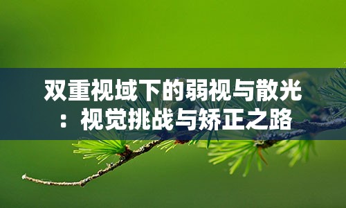 双重视域下的弱视与散光：视觉挑战与矫正之路