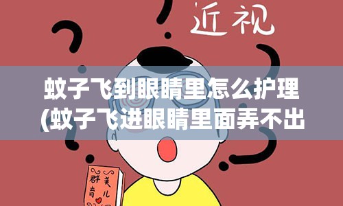 蚊子飞到眼睛里怎么护理(蚊子飞进眼睛里面弄不出来怎么办)