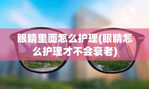 眼睛里面怎么护理(眼睛怎么护理才不会衰老)