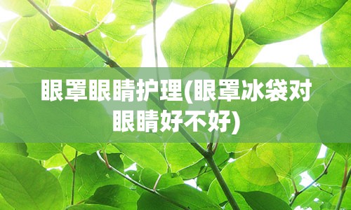 眼罩眼睛护理(眼罩冰袋对眼睛好不好)