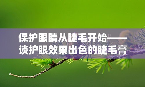 保护眼睛从睫毛开始——谈护眼效果出色的睫毛膏品牌