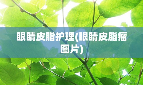 眼睛皮脂护理(眼睛皮脂瘤图片)