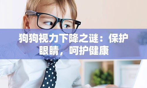 狗狗视力下降之谜：保护眼睛，呵护健康