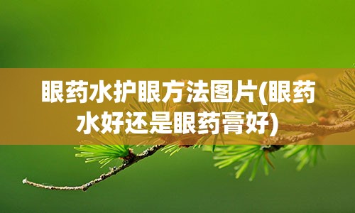 眼药水护眼方法图片(眼药水好还是眼药膏好)