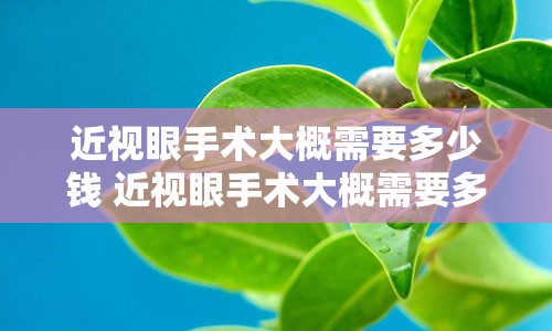 近视眼手术大概需要多少钱 近视眼手术大概需要多少钱500度