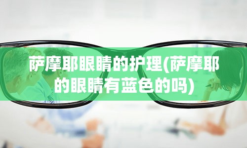 萨摩耶眼睛的护理(萨摩耶的眼睛有蓝色的吗)