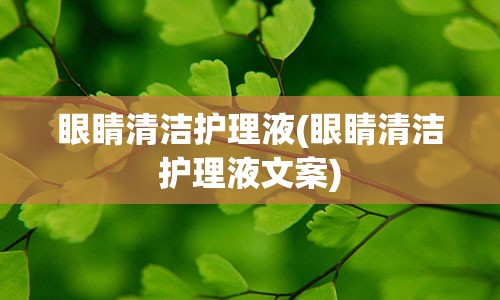 眼睛清洁护理液(眼睛清洁护理液文案)