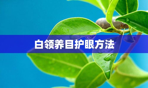 白领养目护眼方法