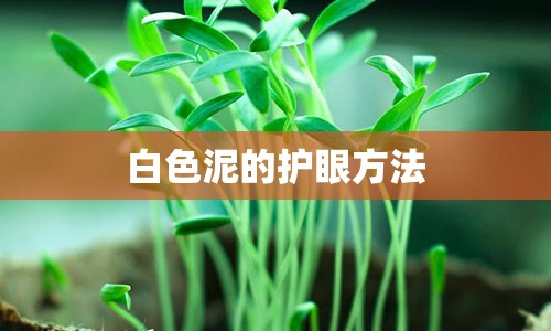 白色泥的护眼方法