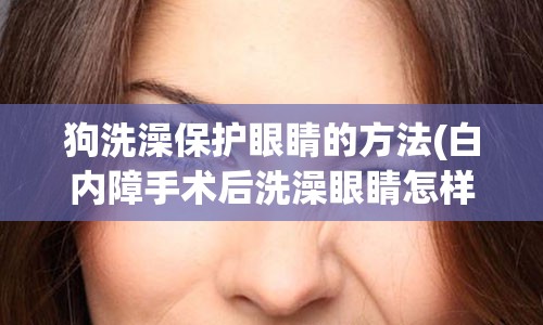 狗洗澡保护眼睛的方法(白内障手术后洗澡眼睛怎样保护)