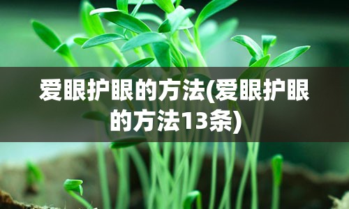 爱眼护眼的方法(爱眼护眼的方法13条)