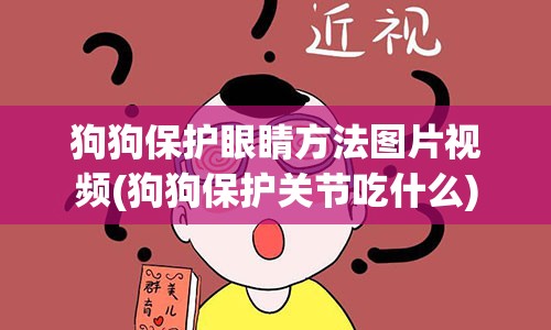 狗狗保护眼睛方法图片视频(狗狗保护关节吃什么)