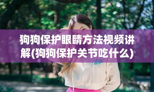 狗狗保护眼睛方法视频讲解(狗狗保护关节吃什么)