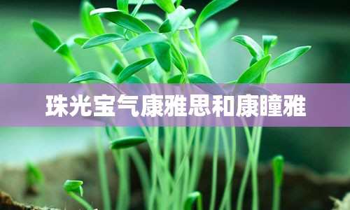 珠光宝气康雅思和康瞳雅